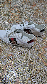 f5b331ab6167cf3bde25bd0282990036_1648801824_1117.jpg?v=1