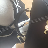 f4a2a6c2a2b6297bcd0c71351a50cb02_1733932719_3484.jpg?v=1