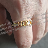 380c9a5a1c990861f57fe782a1b24727_1743575874.jpg?v=1