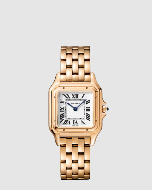 [CARTIER-까르띠에]팬더 드 까르띠에 금통 27 WGPN0007