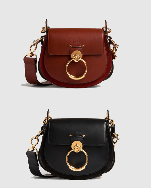 [CHLOE-끌로에]테스백 스몰 WS153