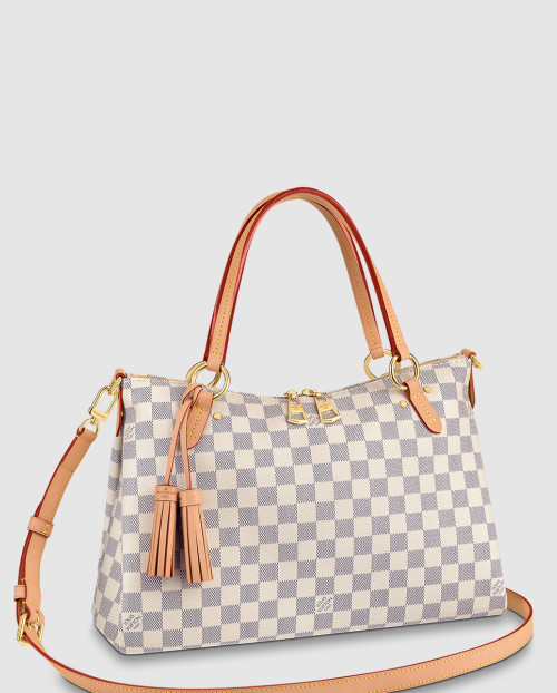 [LOUIS VUITTON-루이비통]리밍턴 N40022