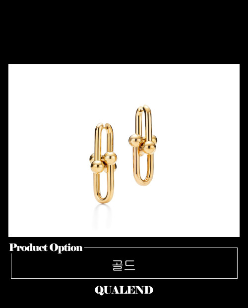 [TIFFANY-티파니]링크 귀걸이