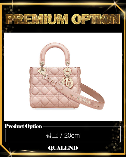 [DIOR-디올]레이디백 ABC M0538