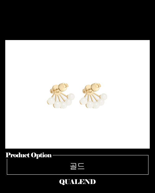 [DIOR-디올]라 쁘띠 트라이벌 귀걸이 E0671