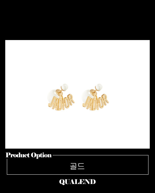 [DIOR-디올]트라이벌 귀걸이 E1513