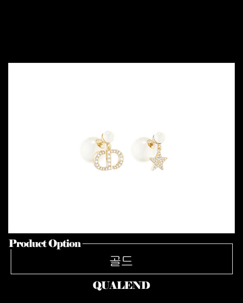 [DIOR-디올]트라이벌 귀걸이 E1544