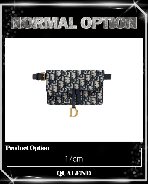 [DIOR-디올]새들 벨트백 S5619