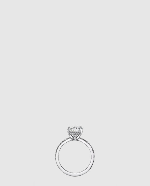 [TIFFANY-티파니]트루 웨딩 반지