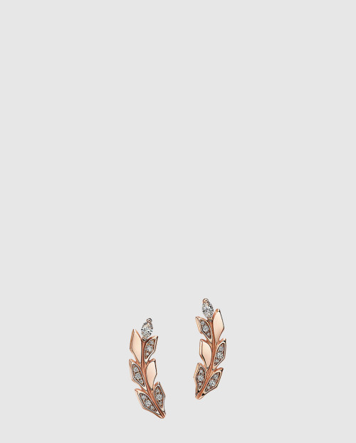 [TIFFANY-티파니]바인 클라이머 귀걸이