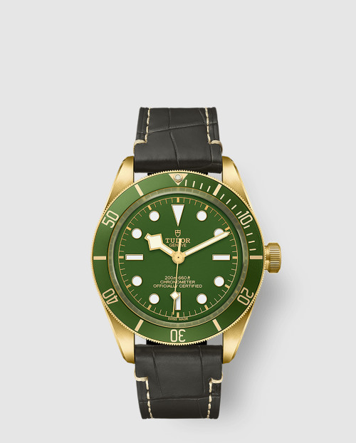 [TUDOR-튜더]블랙베이58 39 M79018V