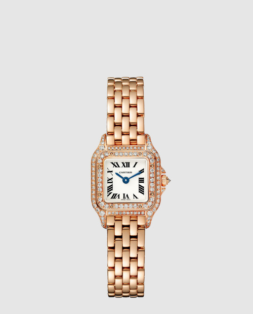 [CARTIER-까르띠에]팬더 드 까르띠에 콤비 25 WJPN0020