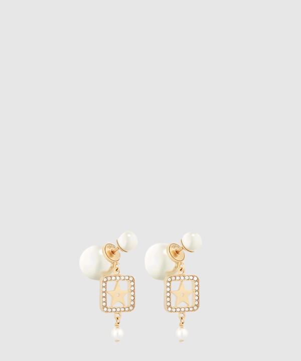 [DIOR-디올]트라이벌 귀걸이 E2037