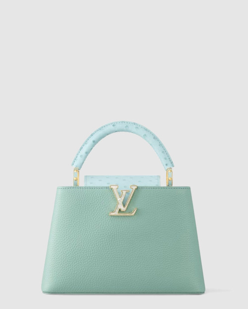 [LOUIS VUITTON-루이비통]카퓌신 BB N84073