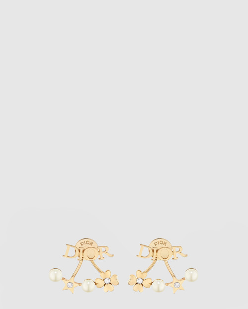 [DIOR-디올]Dior evolution 귀걸이 E3916