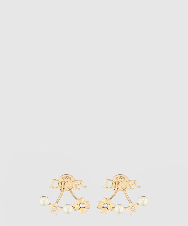 [DIOR-디올]Dior evolution 귀걸이 E3916