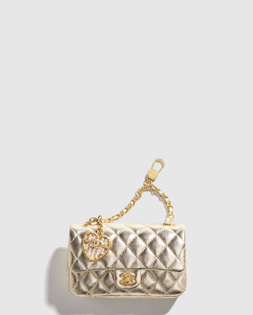 [CHANEL-샤넬]파우치 케이스 AP4760