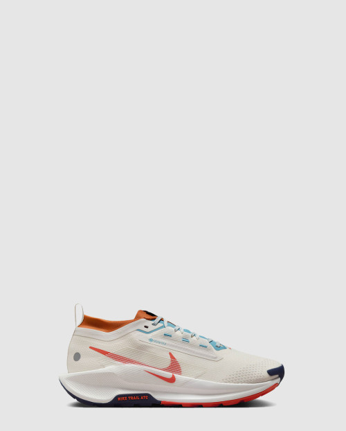 [NIKE-나이키]페가수스 트레일 5 FQ0908